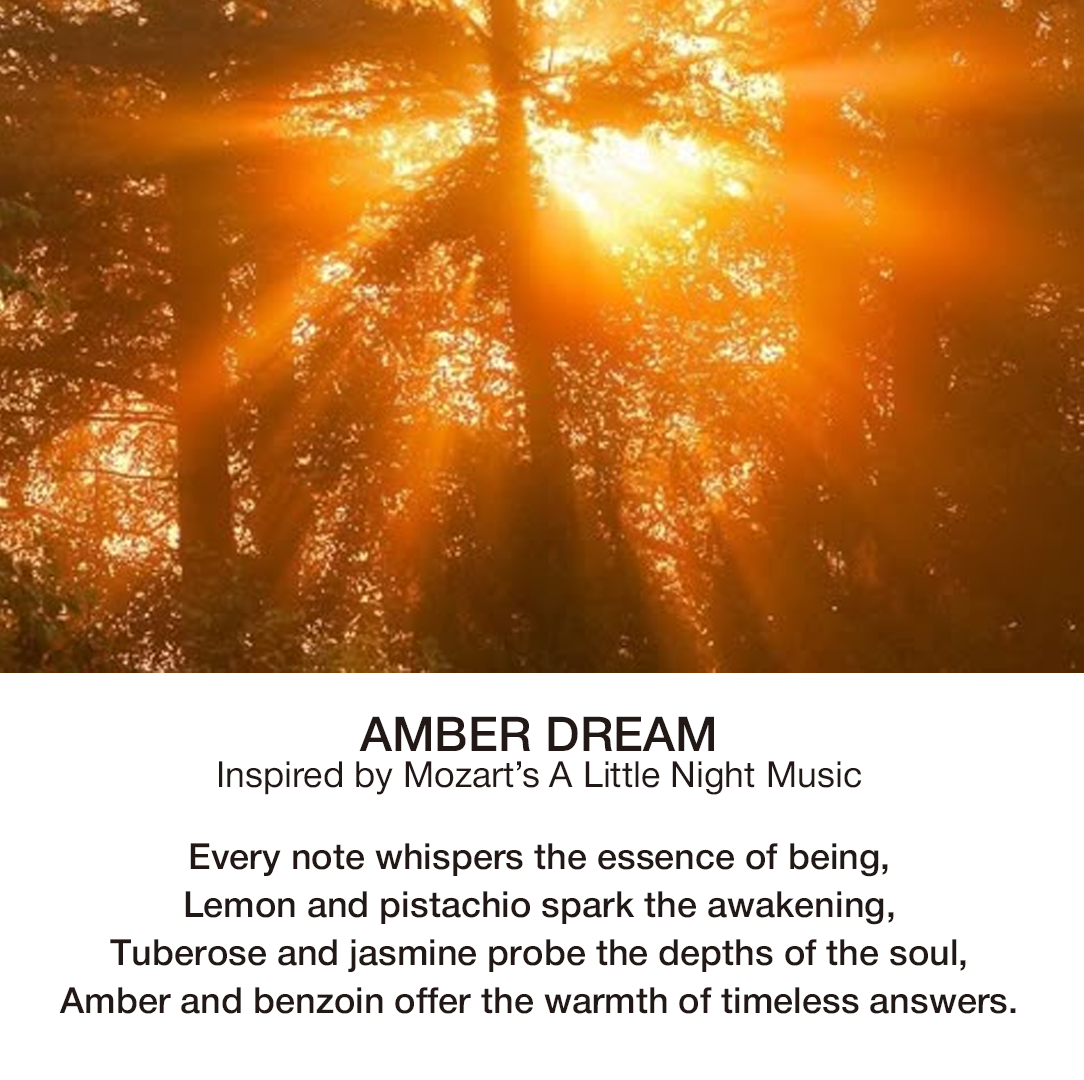 AMBER DREAM